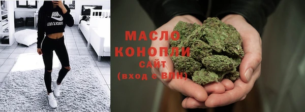 шишки Мегион