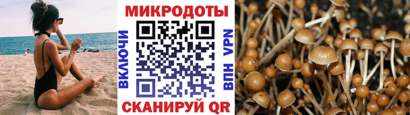 Галлюциногенные грибы мухоморы  Аргун 